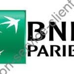logo bnp