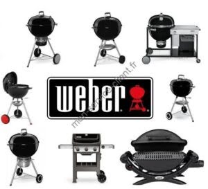 Exemples de barbecues disponibles sur le site Weber