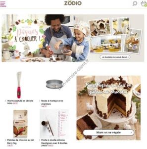 Aperçu du site web Zodio