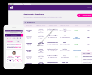 Aperçu du site web et de l'application You2you