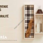 Aperçu du site web de Boréa