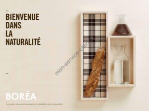 Aperçu du site web de Boréa