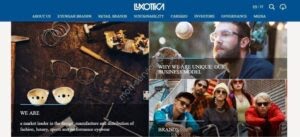 Aperçu du site web Luxottica